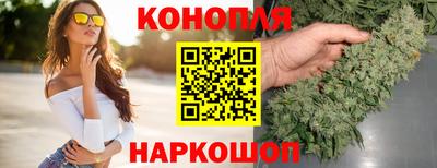 дмт Будённовск