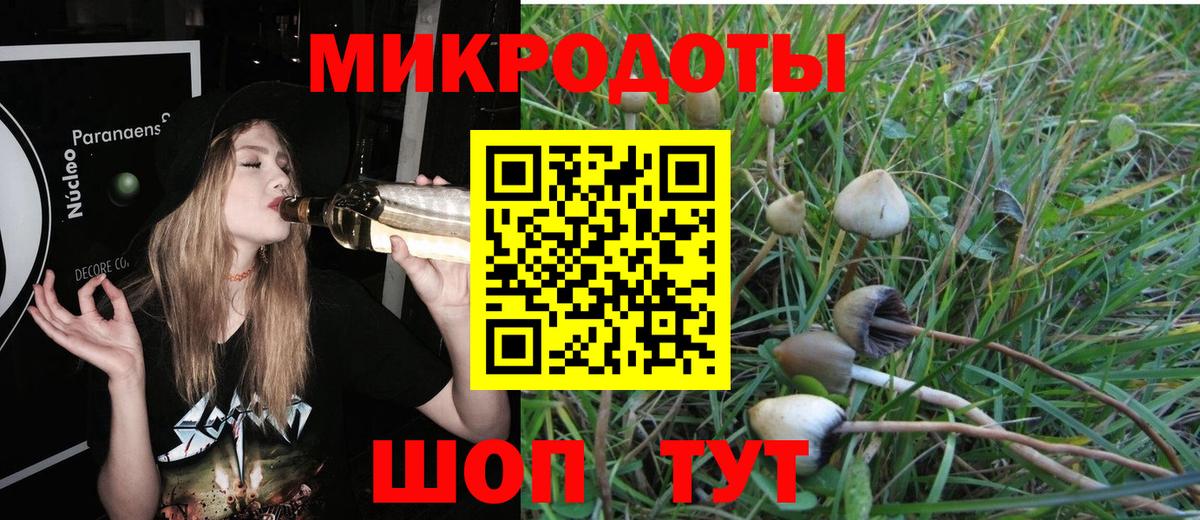 Псилоцибиновые грибы прущие грибы Улан-Удэ