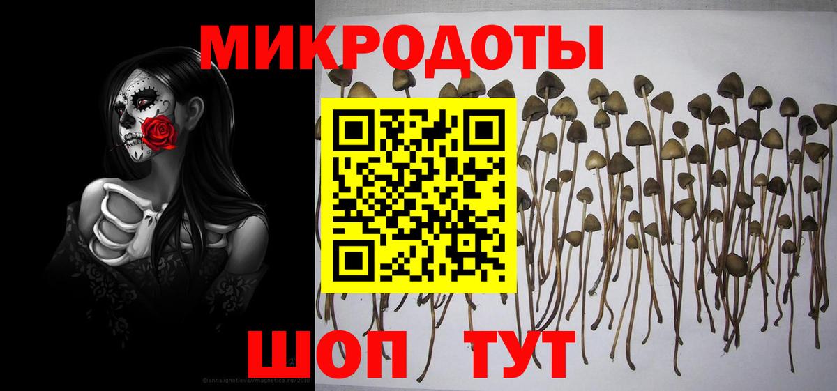 Улан-Удэ  Галлюциногенные грибы мицелий  Вход с VPN  Галлюциногенные грибы мицелий 